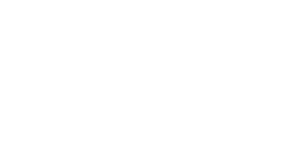 Damelin